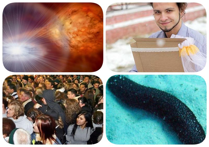 Faze tari, Foto: Colaj foto