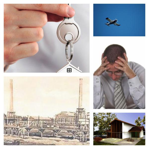 Business report, Foto: Colaj foto