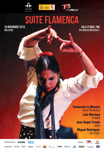 Flamenco, Foto: Instituto Cervantes