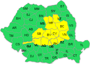 Cod galben, Foto: ANM