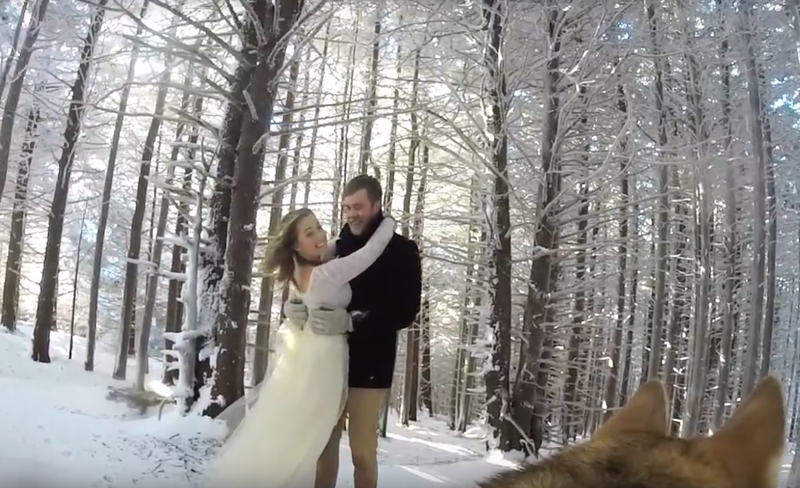 Nunta filmata de caine, Foto: Captura YouTube