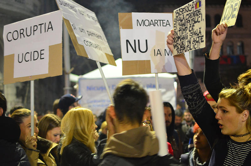 Pancarte, Foto: Adina Florea/Hotnews