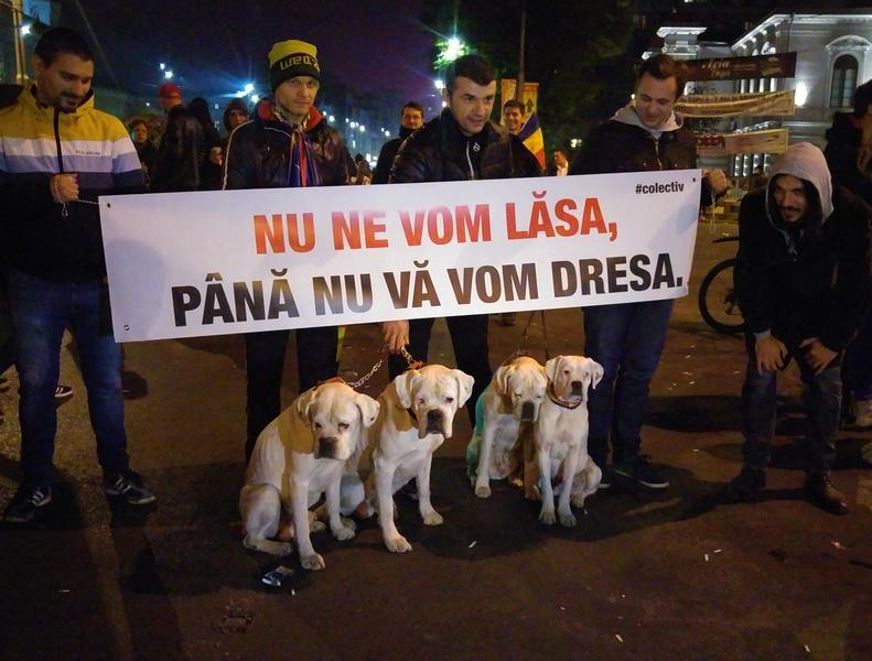 Va vom dresa, Foto: Hotnews