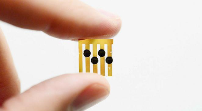 Senzor c2sense, Foto: Hotnews