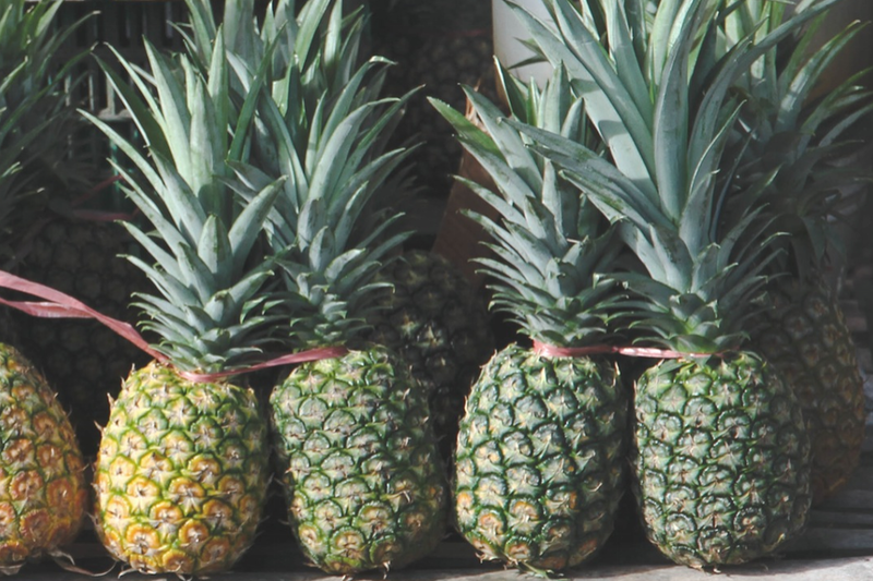 Ananas, Foto: stocksnap.io