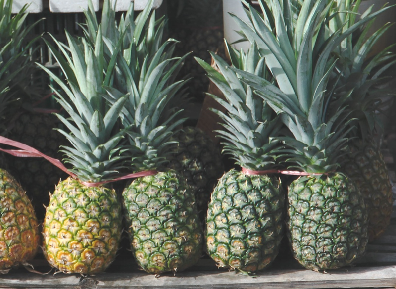 Ananas, Foto: stocksnap.io