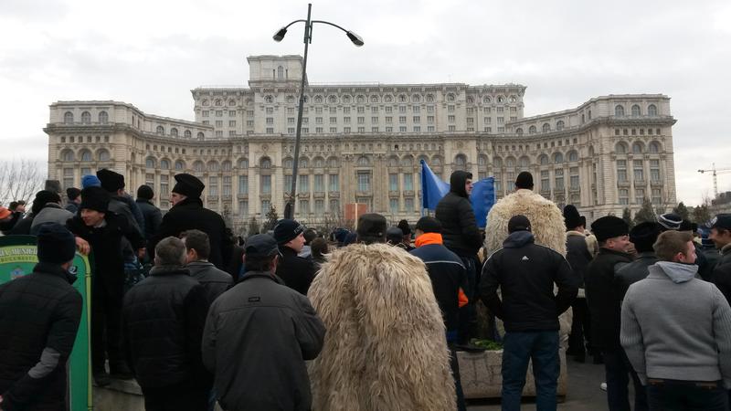 Ciobanii protesteaza la Parlament, Foto: Hotnews