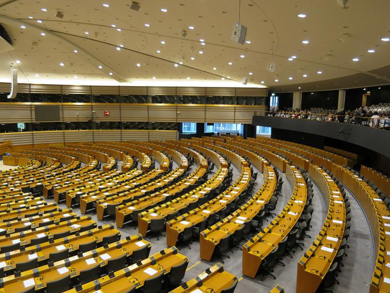 In Parlamentul European, Foto: HotNews