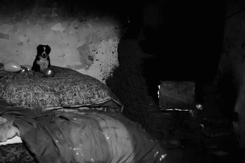 Homeless, Foto: Bogdan Dinca