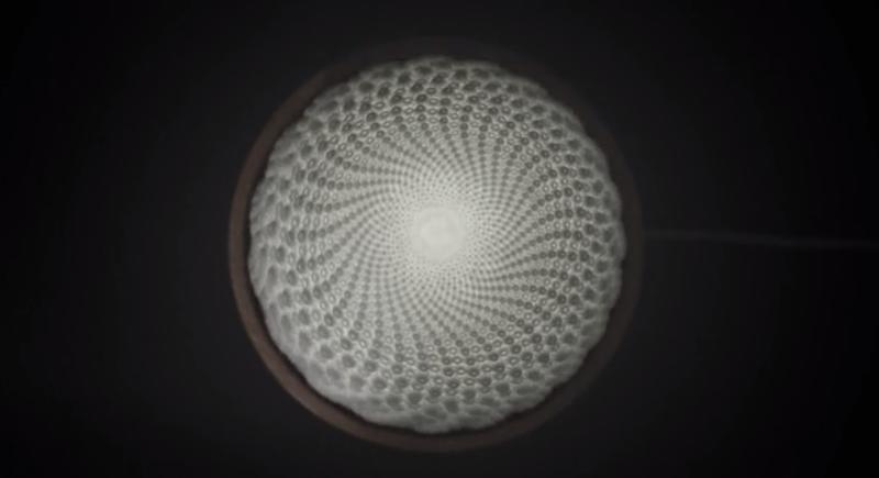 Flux, Foto: captura ecran