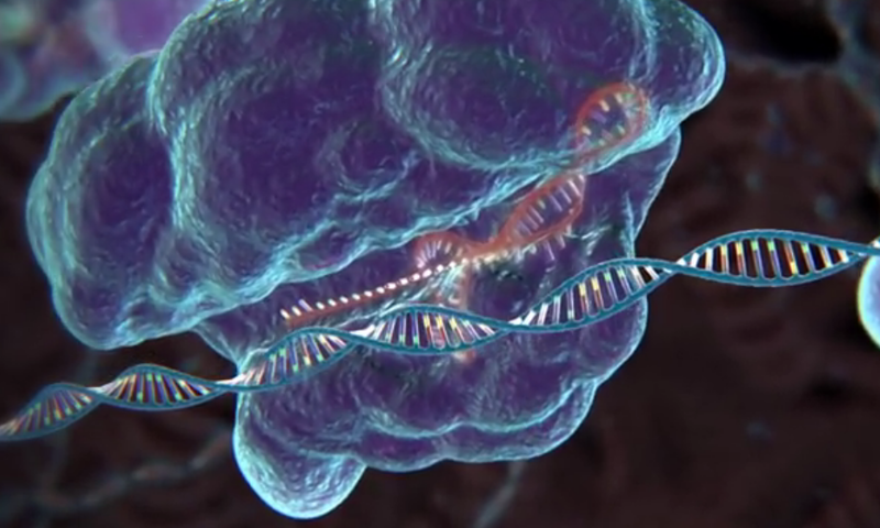 CRISPR, Foto: Captura Youtube.com
