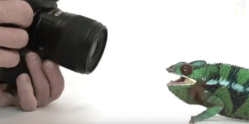 Fotograful Joel Sartore la munca, Foto: Captura YouTube