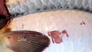 Pofta buna, Foto: youtube.com