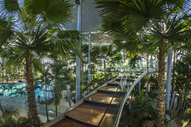 Therme Bucuresti, Foto: Therme Bucuresti