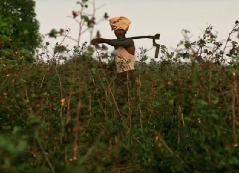 Sinuciderile din randul fermierilor, un fenomen larg raspandit in India, Foto: Captura YouTube