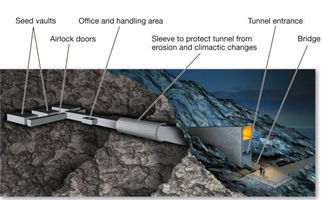 Rezerva mondiala de seminte din Svalbard, Foto: captura ecran
