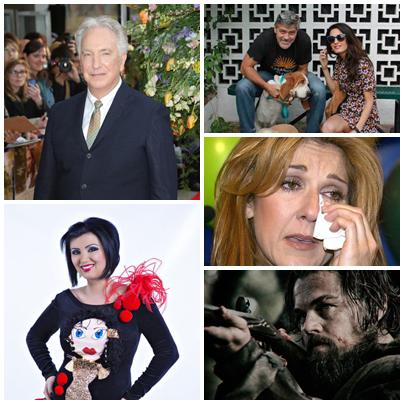 Caru' cu Vedete, Foto: Colaj foto