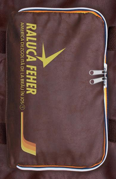 "America dezgolita de la brau in jos" - volumul unu republicat si mult adaugit, Foto: Editura Trei