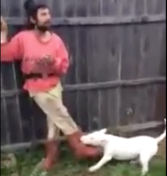 "Cristi! Ba Cristi" a devenit viral, Foto: Captura YouTube