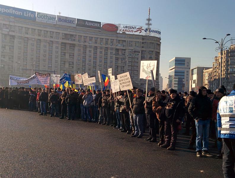 Protest al asociatiilor din industria lemnului in fata guvernului, Foto: Hotnews