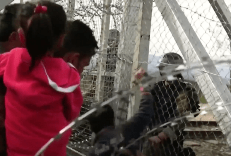 Migranti blocati la granita Greciei cu Macedonia, Foto: Captura YouTube