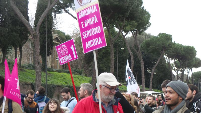 Manifestanti pro-familie in Italia, Foto: Hotnews