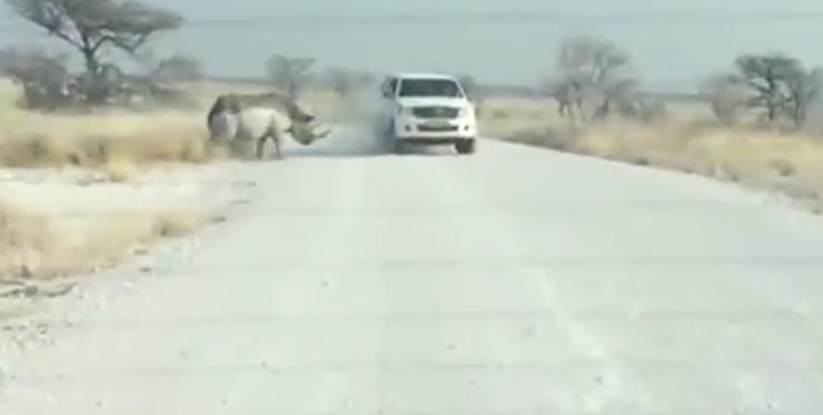 Clipul zilei, Foto: Captura YouTube