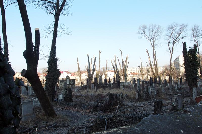 Toaletari cimitirul Evreiesc 13, Foto: Hotnews