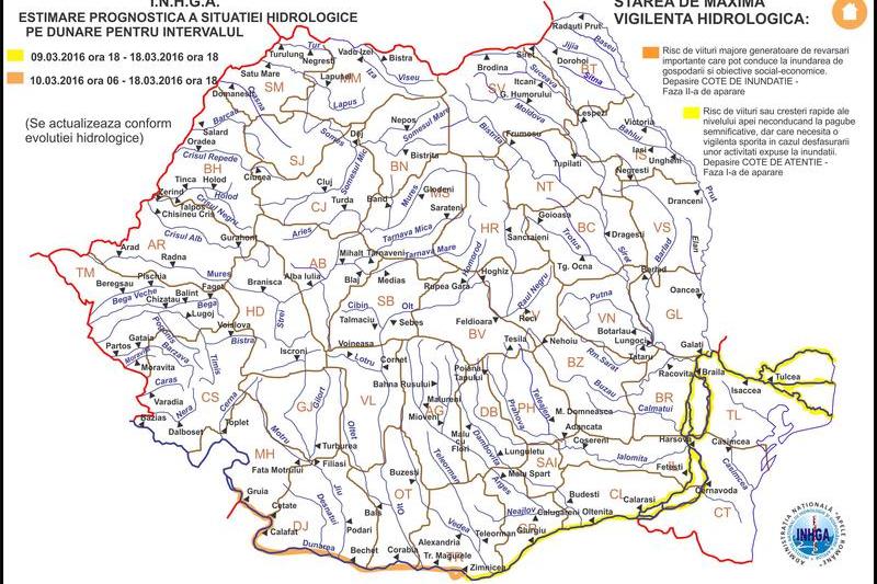 Cod portocaliu pe Dunare, Foto: inhga.ro