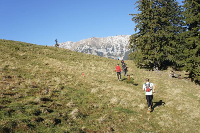 Alergare pe munte, Foto: Alerg.ro
