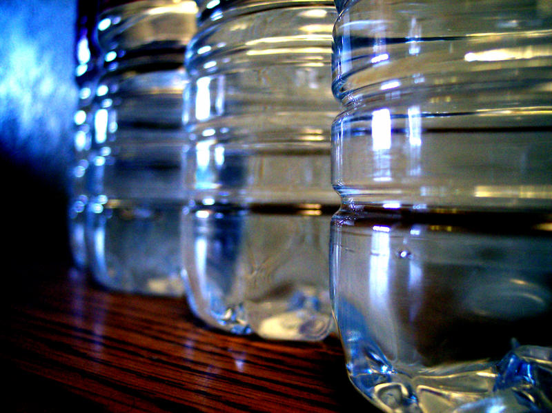 Apa imbuteliata, Foto: MorgueFile.com