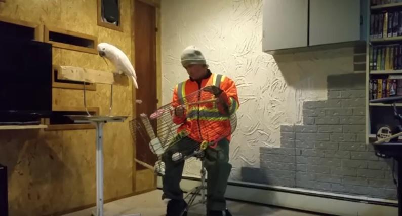 Clipul zilei, Foto: Captura YouTube