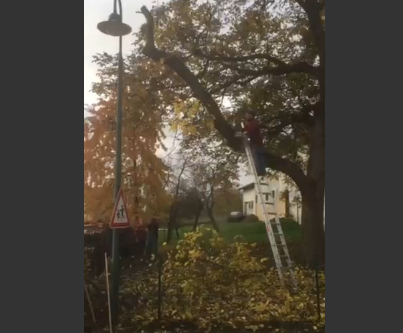 Clipul zilei, Foto: Captura LiveLeak