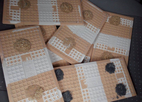 Faianta, Foto: SmartWoman.ro