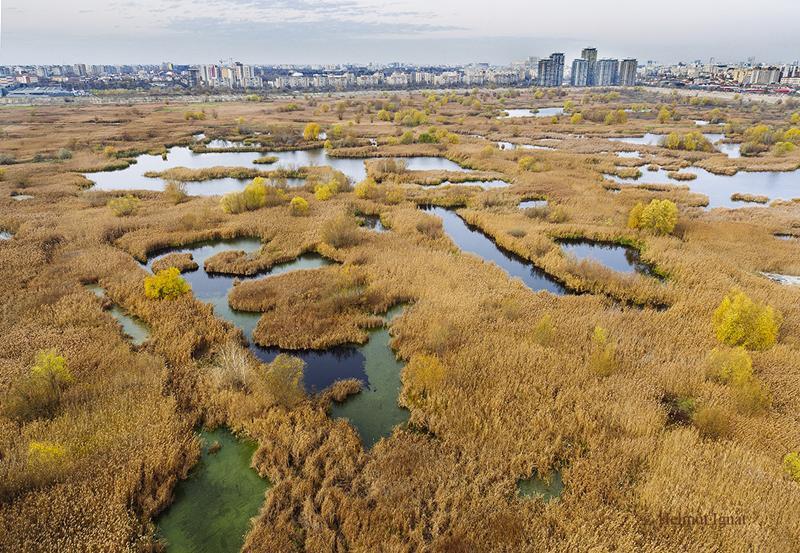 Delta Vacaresti - Foto: Helmut Ignat, Foto: Helmut Ignat