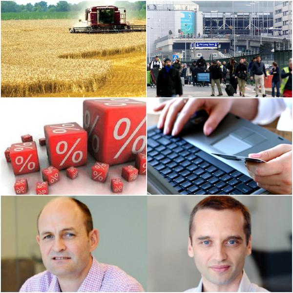 Business report, Foto: Colaj foto