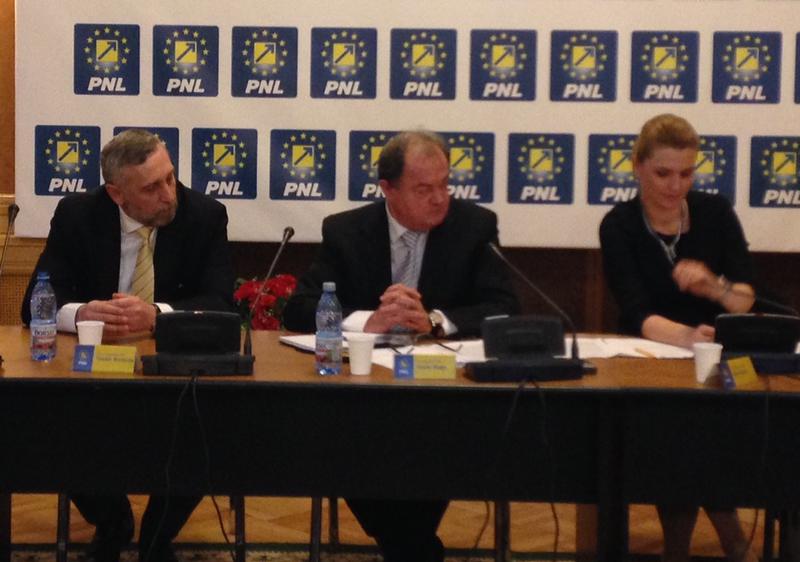 Marian Munteanu la PNL, Foto: Hotnews