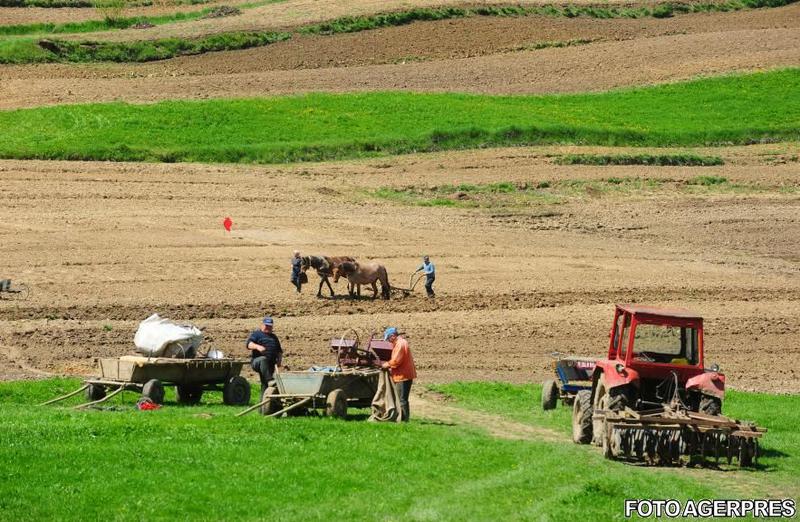 Agricultori romani, Foto: AGERPRES