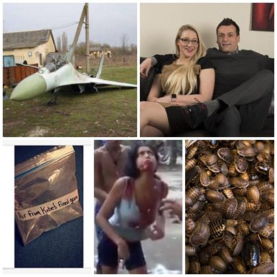 FAZE TARI, Foto: Colaj foto