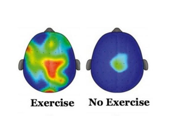 Cat de importanta este micarea fizica pentru performanta intelectuala, Foto: captura ecran