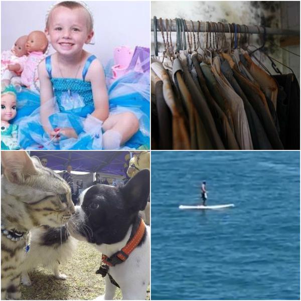 Faze tari, Foto: Colaj foto