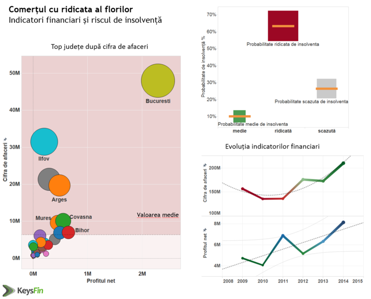 In comertul cu flori, intre Capitala si restul tarii distanta e uriasa, Foto: Hotnews