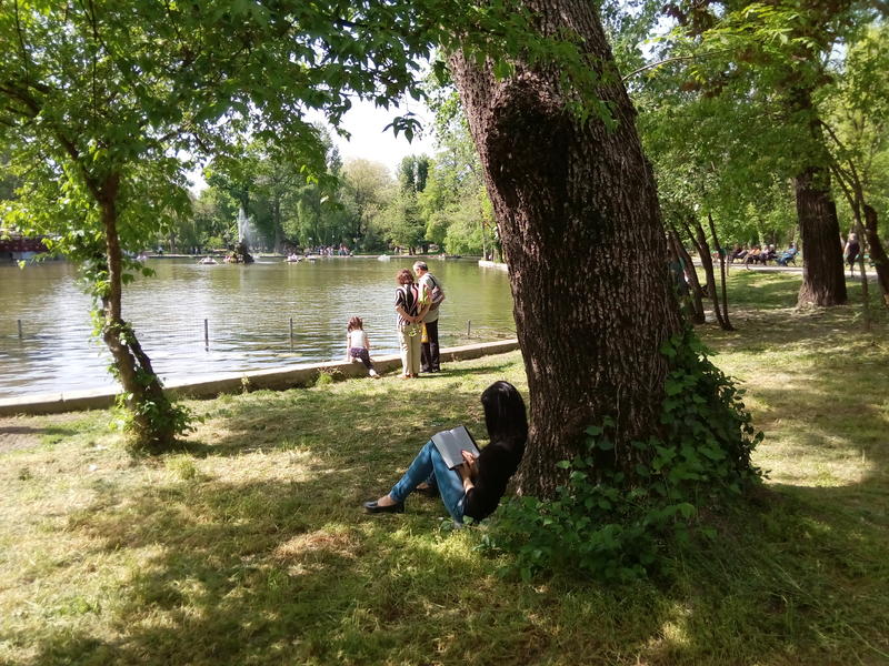 Parcul Cismigiu, Foto: USER UPLOADED