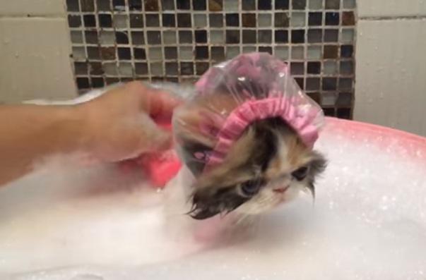 Clipul zilei, Foto: Captura Youtube.com