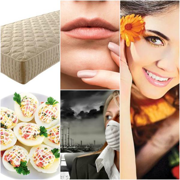 Utile, Foto: Colaj foto