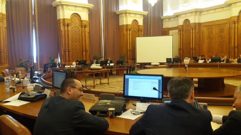 Imagine din timpul discutiilor de marti din Comisia Juridica, Foto: Hotnews