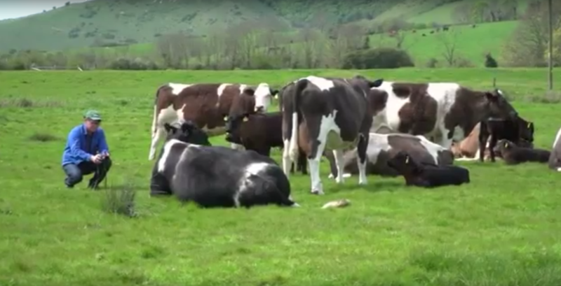 John Marshall - pictor, Foto: Captura YouTube