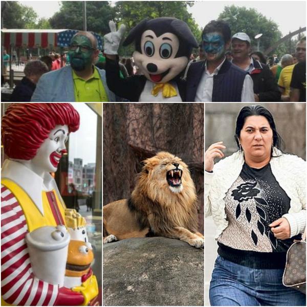 Faze tari, Foto: Colaj foto