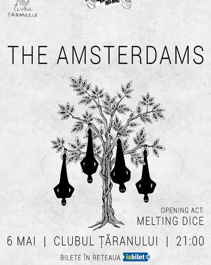 The Amsterdams, Foto: Afis concert