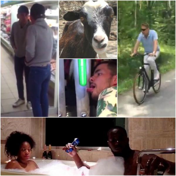 Faze tari, Foto: Colaj foto